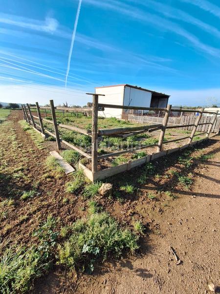 Foto 45760753-849b-4882-a0e7-ac1c0761f84e. Fondo rustico in Santa Oliva