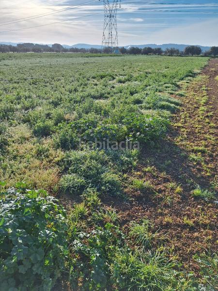 Foto 4c2147ef-2e20-41df-9693-9070d4e71460. Fondo rustico in Santa Oliva