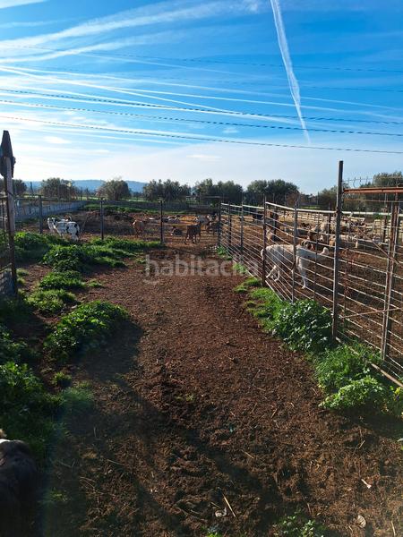 Foto 60924e3c-289b-4691-beb2-ec6a5ce02dbb. Fondo rustico in Santa Oliva