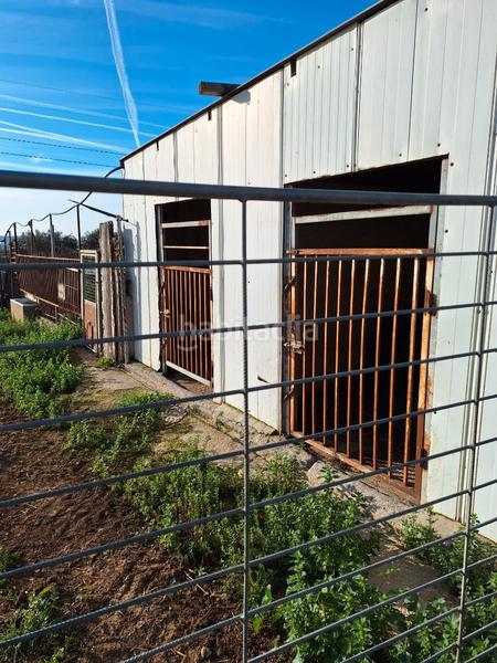 Foto 83c11562-5101-463d-8892-3257cc77a0ae. Fondo rustico in Santa Oliva