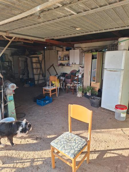 Foto 88b4c9bc-bfbc-4aca-81c1-779c8d2268d1. Fondo rustico in Santa Oliva