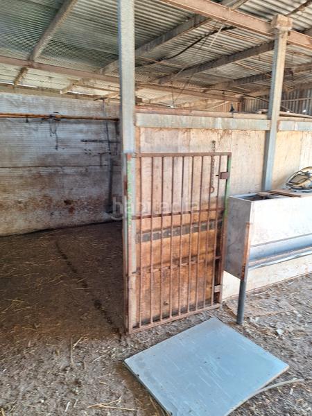 Foto d3084199-74f3-498b-a6ac-764671f29e7c. Fondo rustico in Santa Oliva