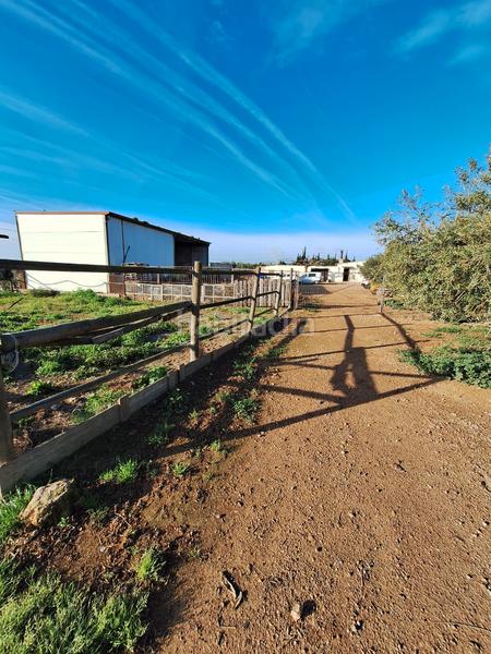 Foto dbbc6e3b-be40-4ef4-a0e5-bed451b91028. Fondo rustico in Santa Oliva