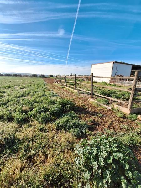 Foto eab87e17-8cb9-4101-960c-ecff1486bac4. Fondo rustico in Santa Oliva