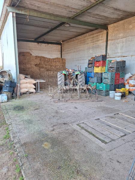 Foto f3797169-93a1-41d6-a5c5-06b905bf1d81. Fondo rustico in Santa Oliva