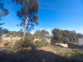 Terreny residencial  Carrer de la mallerenga