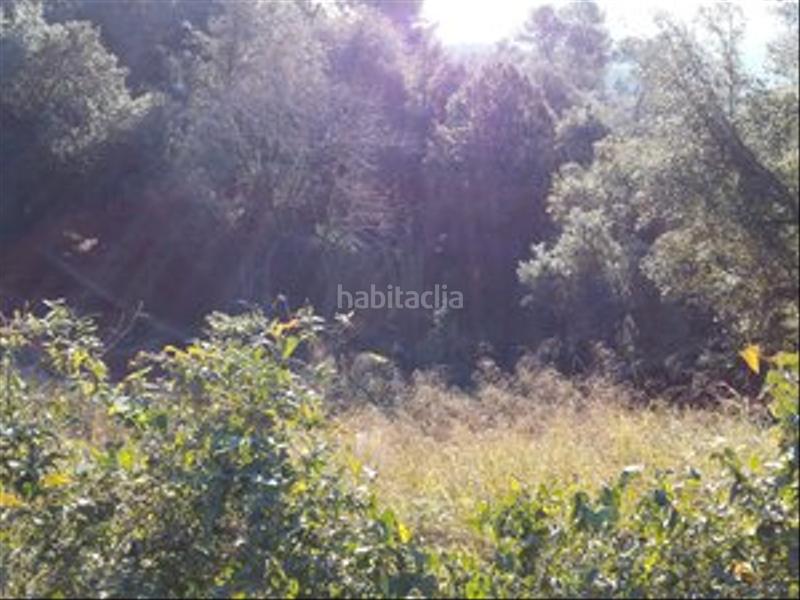 Foto 79039b25-9bc8-4ceb-b1ba-aa0594a4439f. Terreno residencial en Molins de Rei