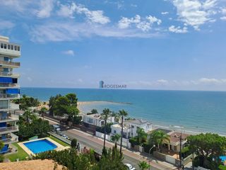 Apartamento en Els Terrers. Encantador estudio en primera línea de playa
