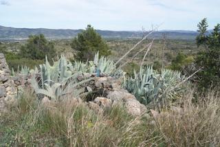 Residential Plot in Useres (les)