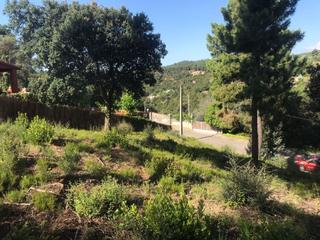 Terreny residencial a Riudarenes. Parcela en can fornaca