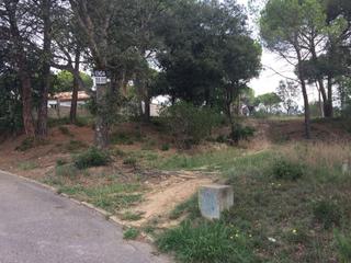 Terreny residencial a Santa Coloma de Farners