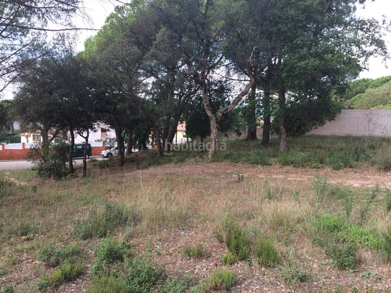 Foto 75997064-d33c-4fb2-950d-f5a03ae15300. Terrain résidentiel dans Santa Coloma de Farners