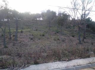 Terreny residencial a Bescanó