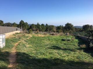 Terreny residencial a Riudarenes