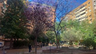 Pis en L´Illa Perduda. Zona ayora,balcon amplio,cerca parada de metro y politécnico Pis en L´Illa Perduda. Zona ayora,balcon amplio,cerca parada de metro y politécnico