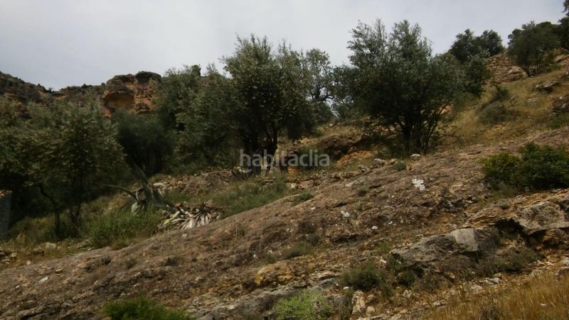 Foto e1465116-2903-4739-809e-bc00ab97eca0. Casa amb aparcament a Villa de Ves