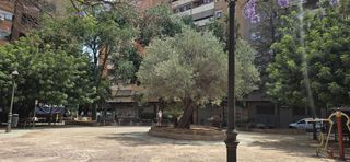Local Comercial a L´Illa Perduda