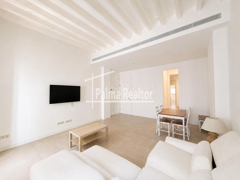 Foto 480cc787-8d57-4f73-994e-86ffa54d0e6e. Lloguer loft a La Llotja-Born Palma de Mallorca