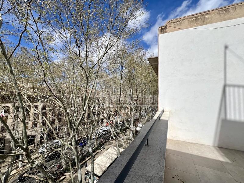 Foto 7eff7b7c-b834-49c8-8f77-4af38230c748. Location duplex dans La Llotja-Born Palma de Mallorca