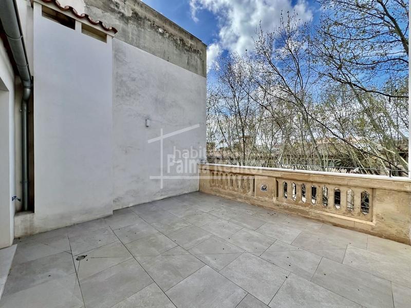 Foto b52780ae-965c-40b2-b6fb-17b10c86e9c9. Location duplex dans La Llotja-Born Palma de Mallorca