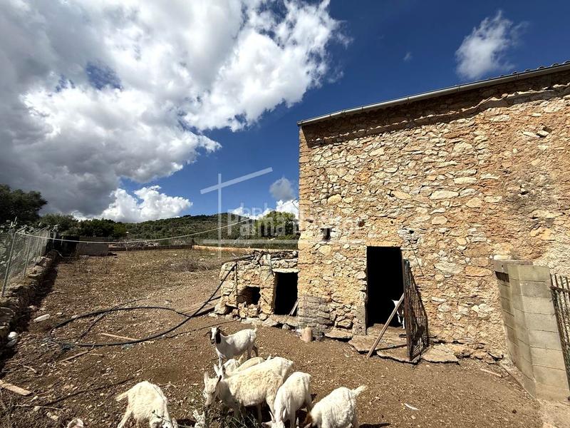 Foto 3cbcbeee-d8f1-4944-855e-fe368906e811. Casale in Zona d´Interior Son Servera