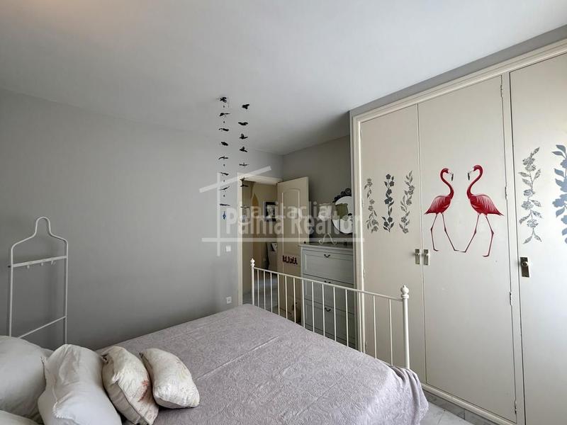 Foto 231e3680-937b-4e28-92b9-4a73b4321f05. Flat with pool in Santa Ponça Calvià