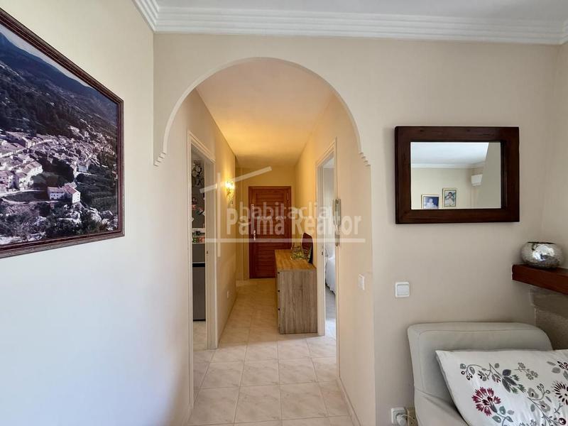 Foto 4d07d6d3-552d-4217-814f-0e00f5a4bbbd. Flat with pool in Santa Ponça Calvià