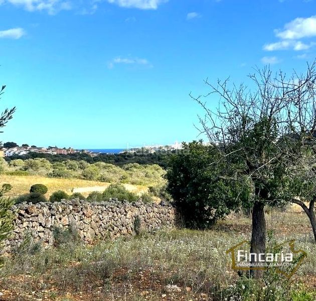Foto 01886e16-d186-4171-be3b-1dc5c54e6938. Terreny residencial a Manacor centre Manacor