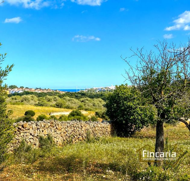 Foto 5c82722e-ca8c-4330-92a8-0006b7386c93. Terreny residencial a Manacor centre Manacor