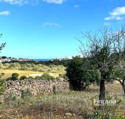 Terreny residencial  Ma-4014. Venta de finca rústica urbanizable en cala mandia