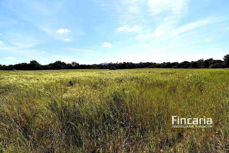 Foto 04c21f2d-2695-44c3-8379-cb865dd80dac. Terreny residencial a Felanitx poble Felanitx