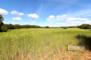Terreny residencial  Ma-5120. Venta de finca rústica urbanizable en felanitx