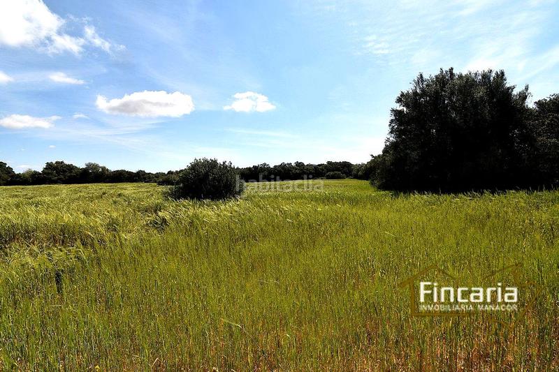 Foto 1f58be48-0877-4e4e-8feb-93e9944bbe69. Terreny residencial a Felanitx poble Felanitx