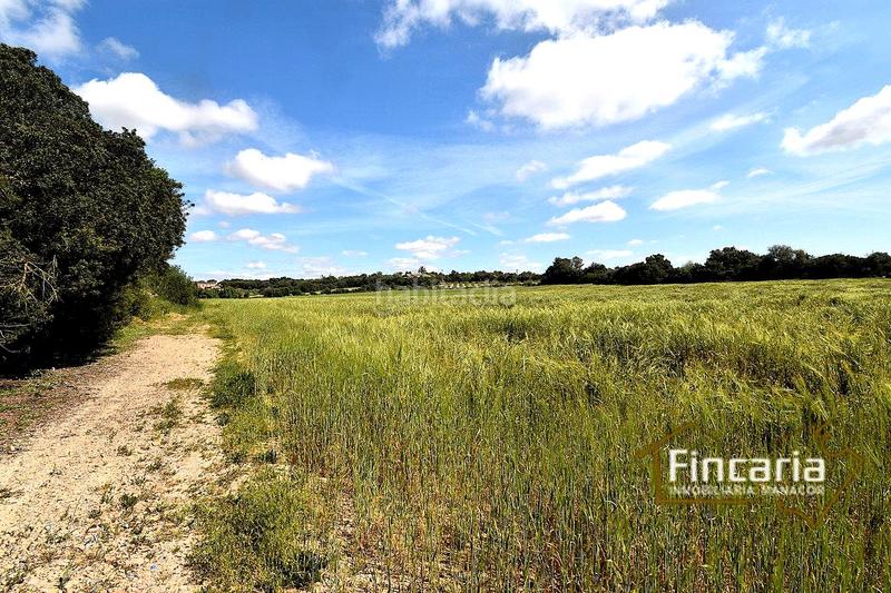 Foto 247cb805-6500-4ea7-9594-b84931f6a05a. Terreny residencial a Felanitx poble Felanitx