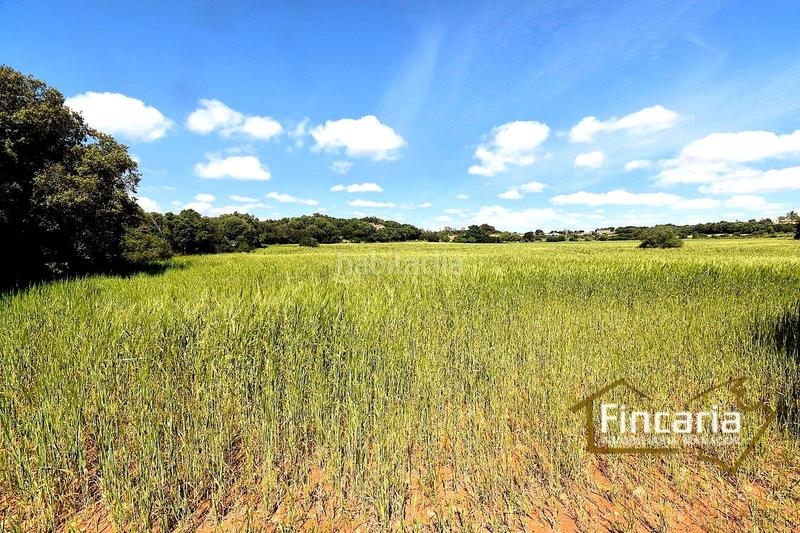 Foto 2bf229bd-310b-4fba-a705-70dec1690fef. Terreny residencial a Felanitx poble Felanitx