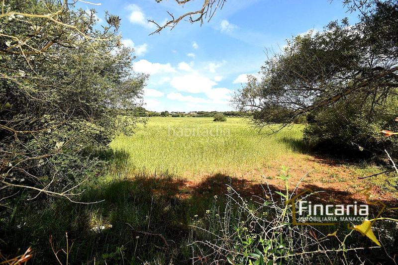 Foto 77c82415-ed43-4b84-9c5d-f84aee23f699. Terreny residencial a Felanitx poble Felanitx