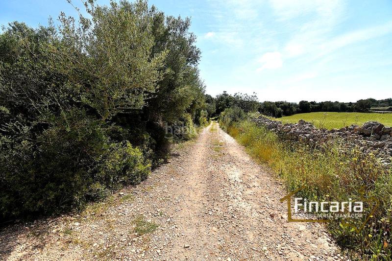 Foto 93222097-e73b-48ed-b4de-8aad66a9736d. Terreny residencial a Felanitx poble Felanitx