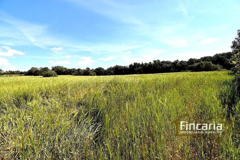 Foto abef5ac4-ec82-46a6-ac7c-c0885c3eb059. Terreny residencial a Felanitx poble Felanitx