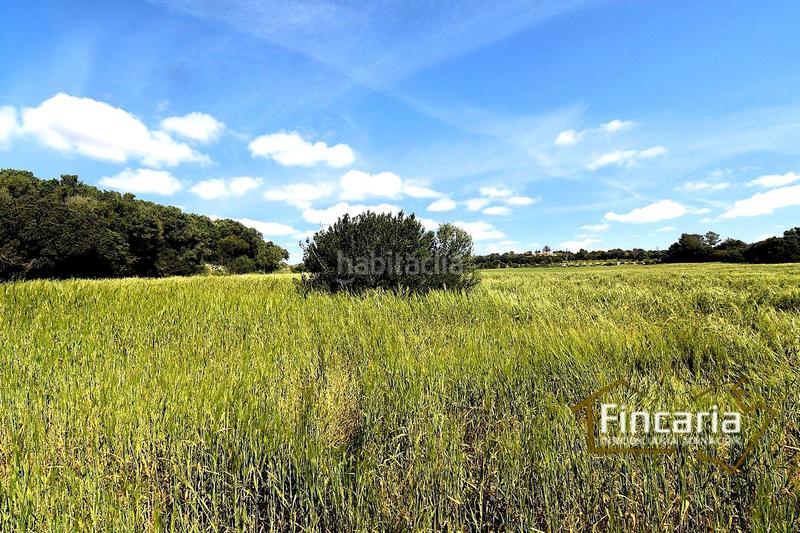 Foto bdf17a15-d130-4402-87b7-969fc3148c80. Terreny residencial a Felanitx poble Felanitx