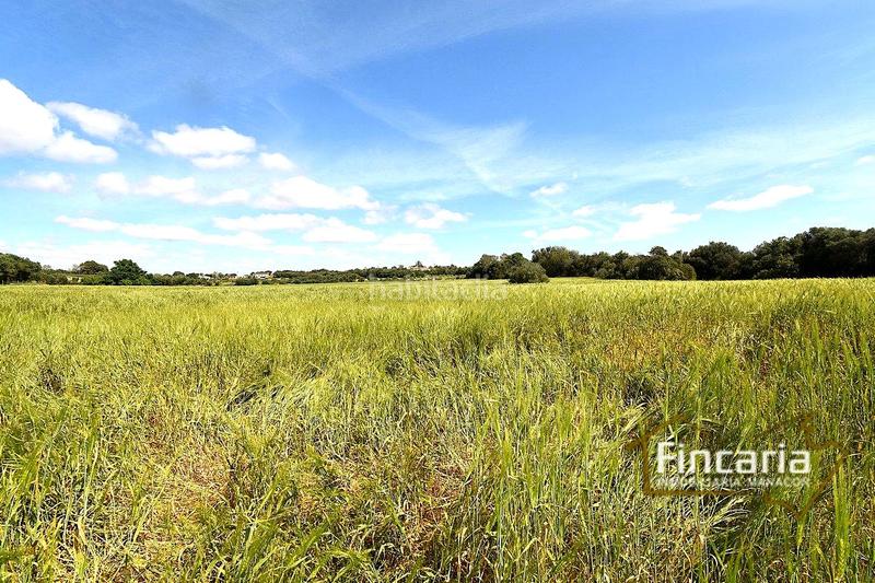 Foto d7ab5f6b-e63a-445e-81d8-8cc06924f004. Terreny residencial a Felanitx poble Felanitx