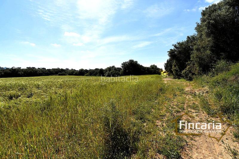 Foto e963c081-b68a-4029-8277-131f44c8d0a9. Terreny residencial a Felanitx poble Felanitx