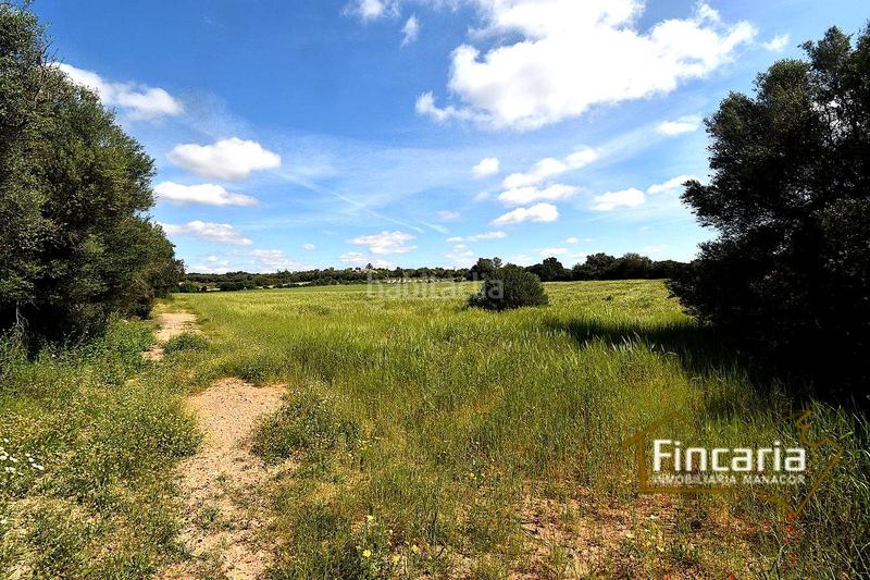 Foto efcba4e2-9102-4ff1-b22c-796952b4d743. Terreny residencial a Felanitx poble Felanitx
