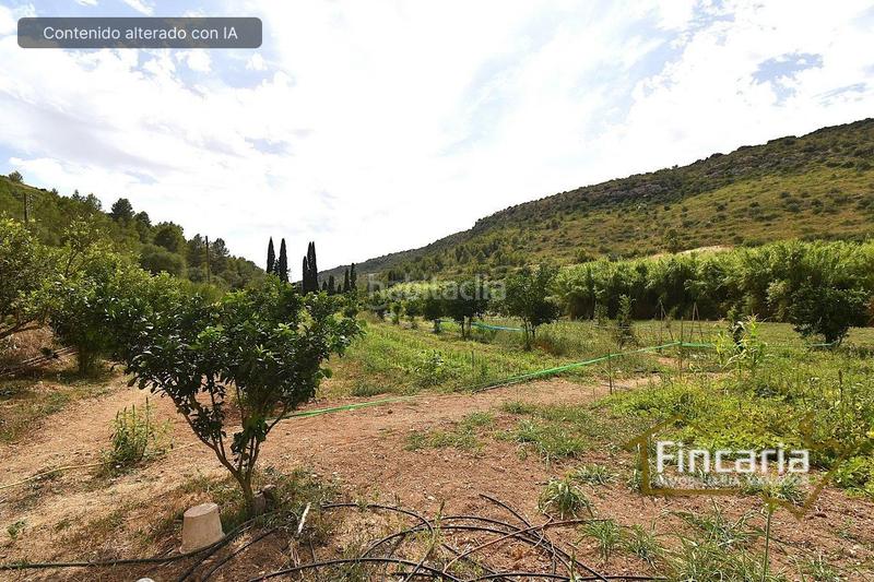 Foto 60808019-17da-441a-8162-718c35f06a86. Bauernhof in Manacor centre Manacor