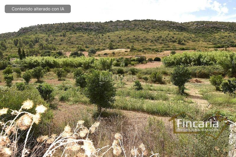 Foto 84964a0a-5064-4f66-a18b-f8478c11e901. Bauernhof in Manacor centre Manacor