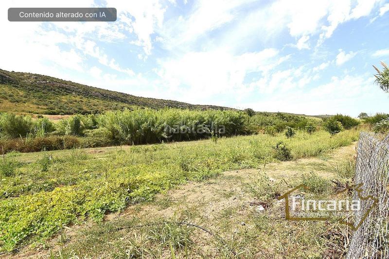 Foto 8753e81e-478a-4503-87a1-40ba58472129. Bauernhof in Manacor centre Manacor