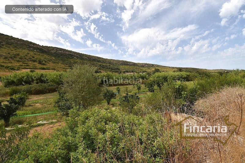 Foto 91312794-091a-4e0e-a0f0-38741c70c7d9. Bauernhof in Manacor centre Manacor