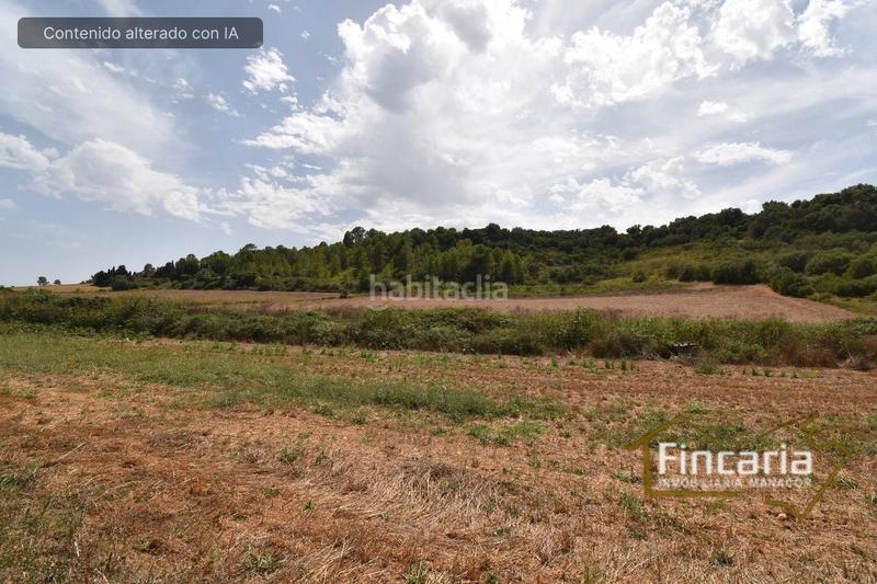 Foto cc88d906-bb88-4434-997f-6231f23b0277. Bauernhof in Manacor centre Manacor