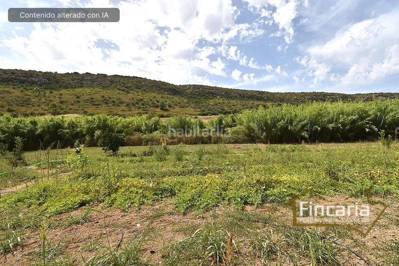 Foto ce93af03-f3d2-4d46-9202-cc998783692f. Bauernhof in Manacor centre Manacor