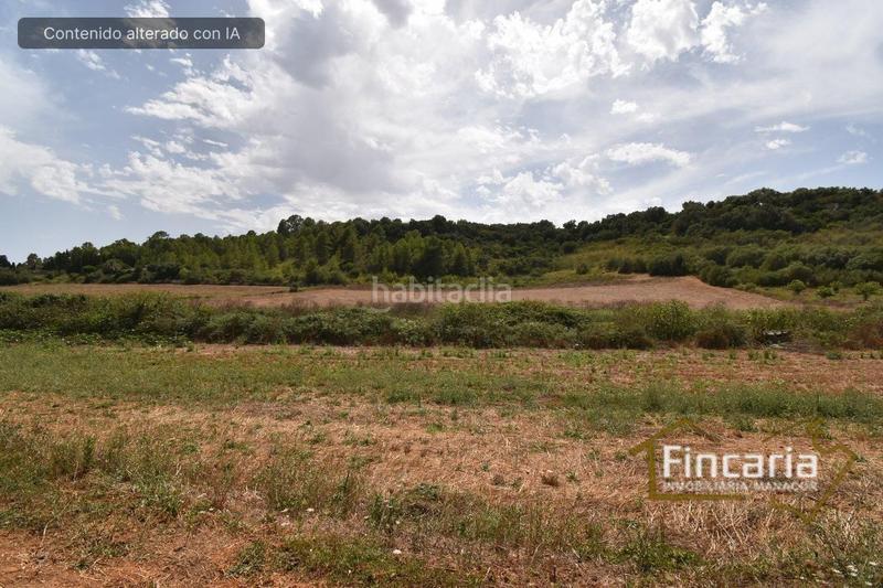 Foto eeb38951-7553-4dba-b716-1ab6246bc411. Bauernhof in Manacor centre Manacor