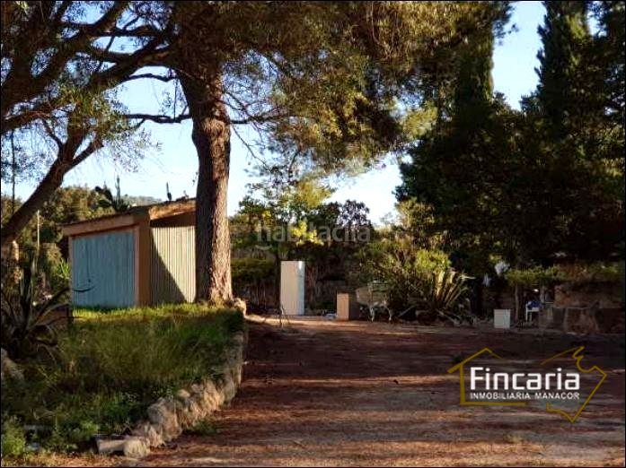 Foto 1857500e-ca22-4061-976e-4c229790ffbf. Masia amb piscina a Sa Pobla